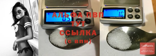 стафф Абинск