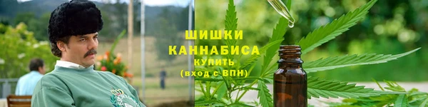 ПСИЛОЦИБИНОВЫЕ ГРИБЫ Абаза
