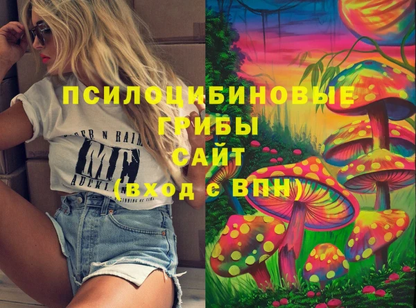 ПСИЛОЦИБИНОВЫЕ ГРИБЫ Абаза