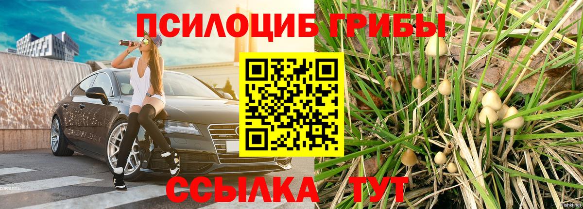 Псилоцибиновые грибы Magic Shrooms  Вход с VPN  Людиново 